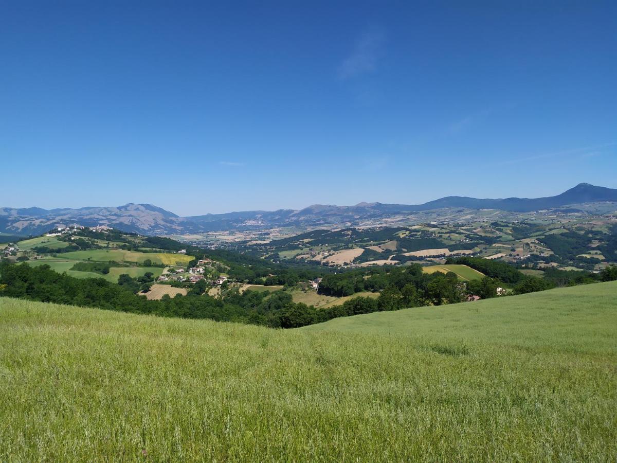 All Inbasilicata Bed & Breakfast Baragiano Luaran gambar